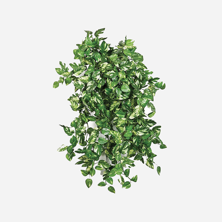 Kunstplant hangend Pothos met groene bladeren is een hangplant met een natuurgetrouwe uitstraling en een lengte van 50 cm.