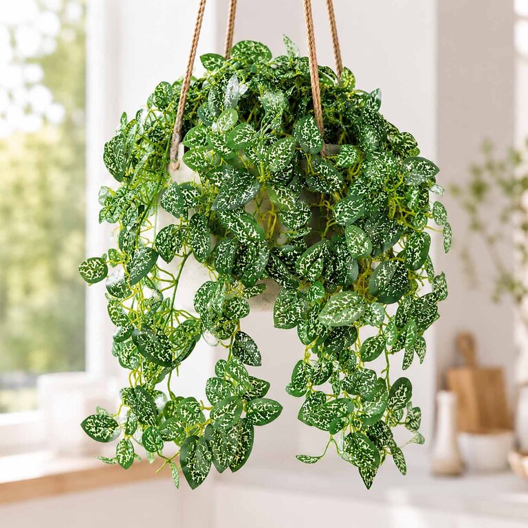 Kunstplant hangend Hypoestes met groenwitte bladeren is een hangplant met een natuurgetrouwe uitstraling en een lengte van 50 cm.