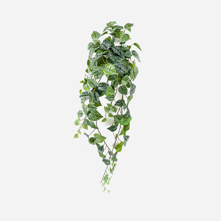 Kunstplant hangend Scindapsus met groene bladeren is een hangplant met een natuurgetrouwe uitstraling en een lengte van 90 cm.
