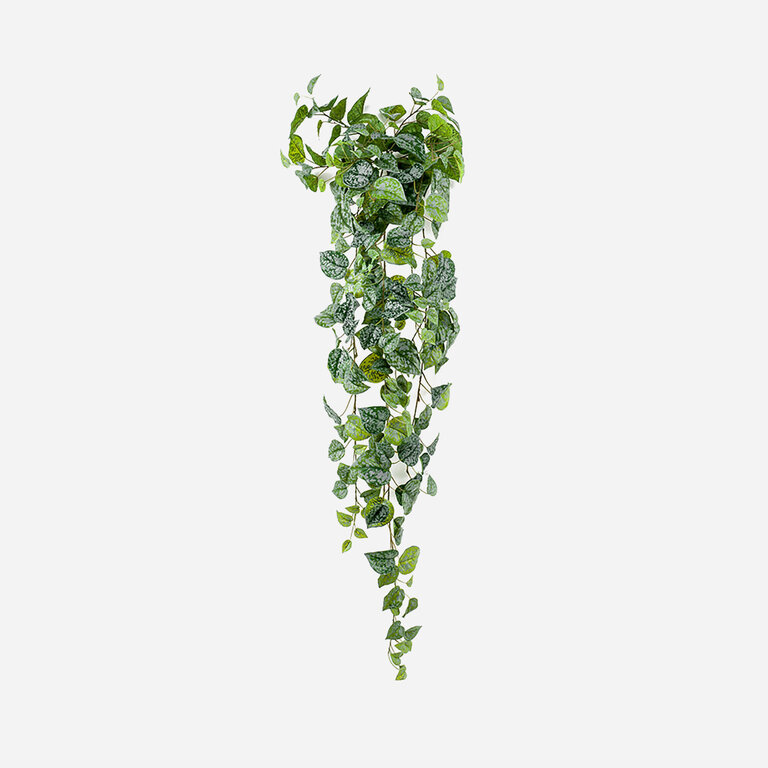 Kunstplant hangend Scindapsus met groene bladeren is een hangplant met een natuurgetrouwe uitstraling en een lengte van 120 cm.