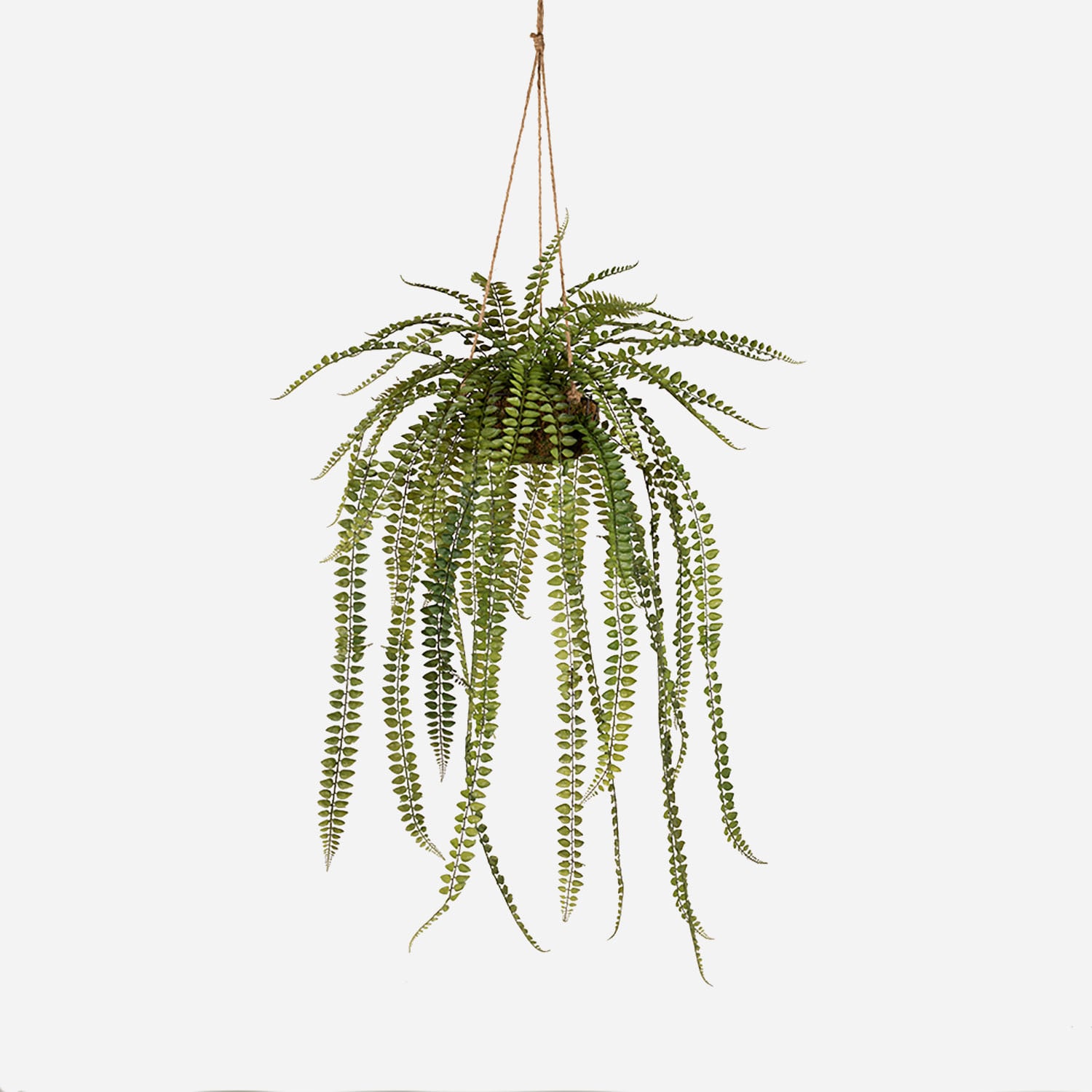 FloraWorks Kunstplant hangend Varen (95 cm)