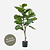 FloraWorks Kunstplant Ficus Lyrata (90 cm)