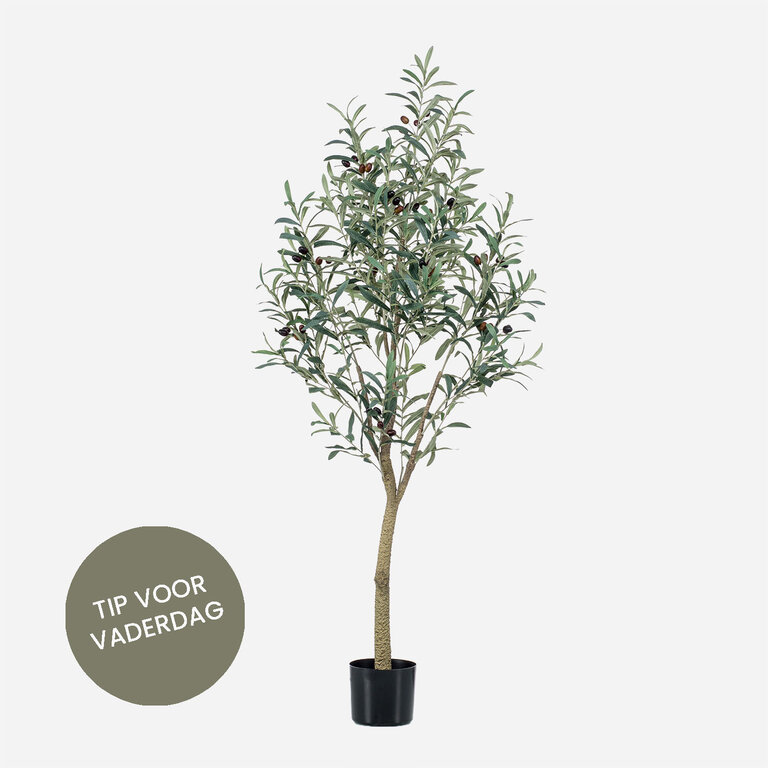 Kunstplant Olijfboom met groene bladeren en olijven is een grote kunstplant in binnenpot met een natuurgetrouwe uitstraling en een hoogte van 140 cm.