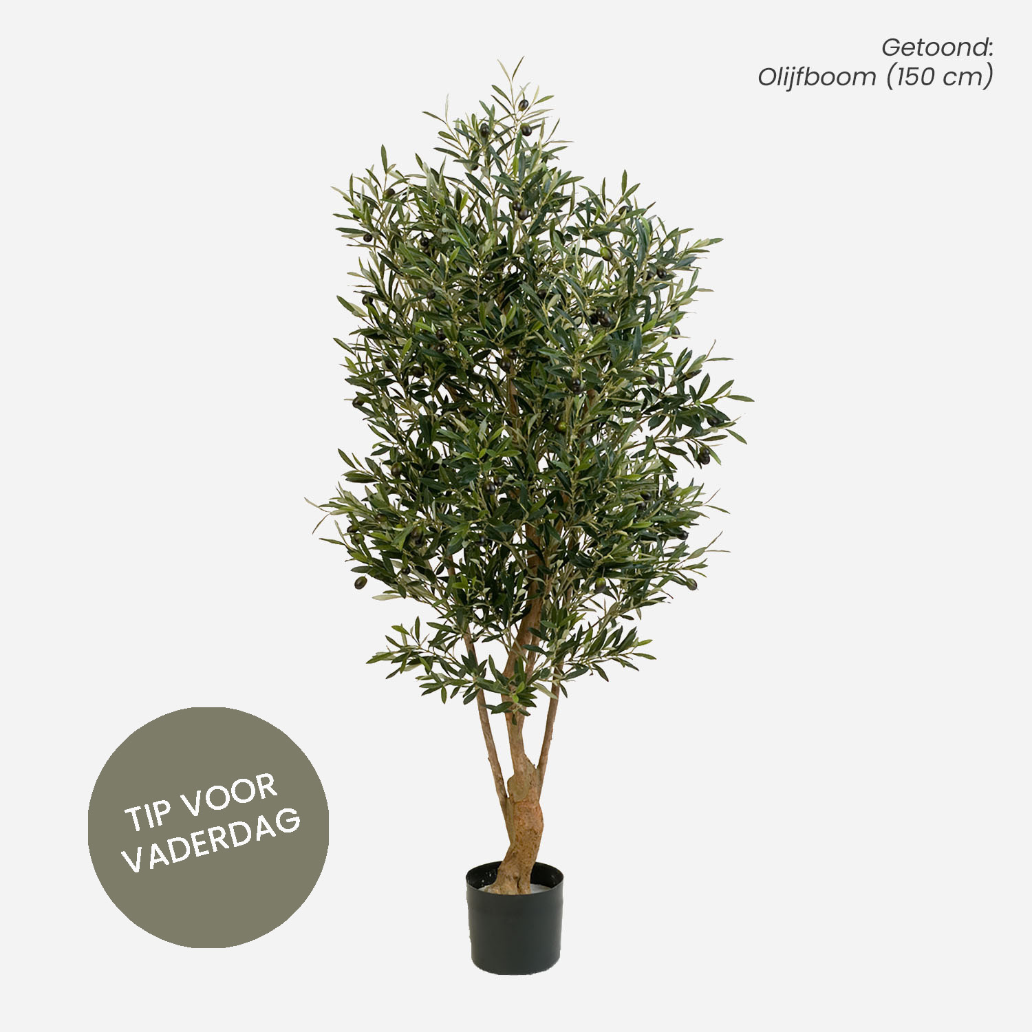 FloraWorks Kunstplant Olijfboom (180 cm)