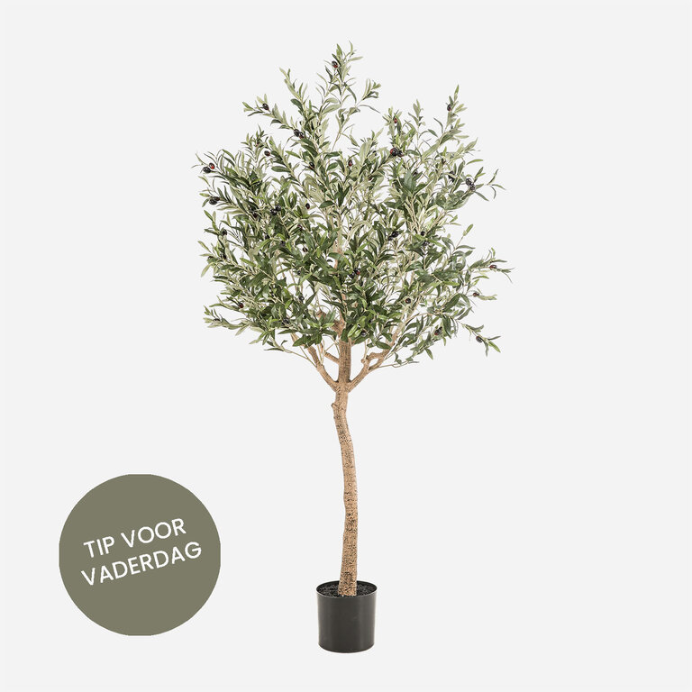Kunstplant Olijfboom met groene bladeren en olijven is een grote kunstplant in binnenpot met een natuurgetrouwe uitstraling en een hoogte van 180 cm.