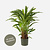 FloraWorks Kunstplant Calathea (84 cm)