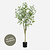 FloraWorks Kunstplant Eucalyptus (150 cm)