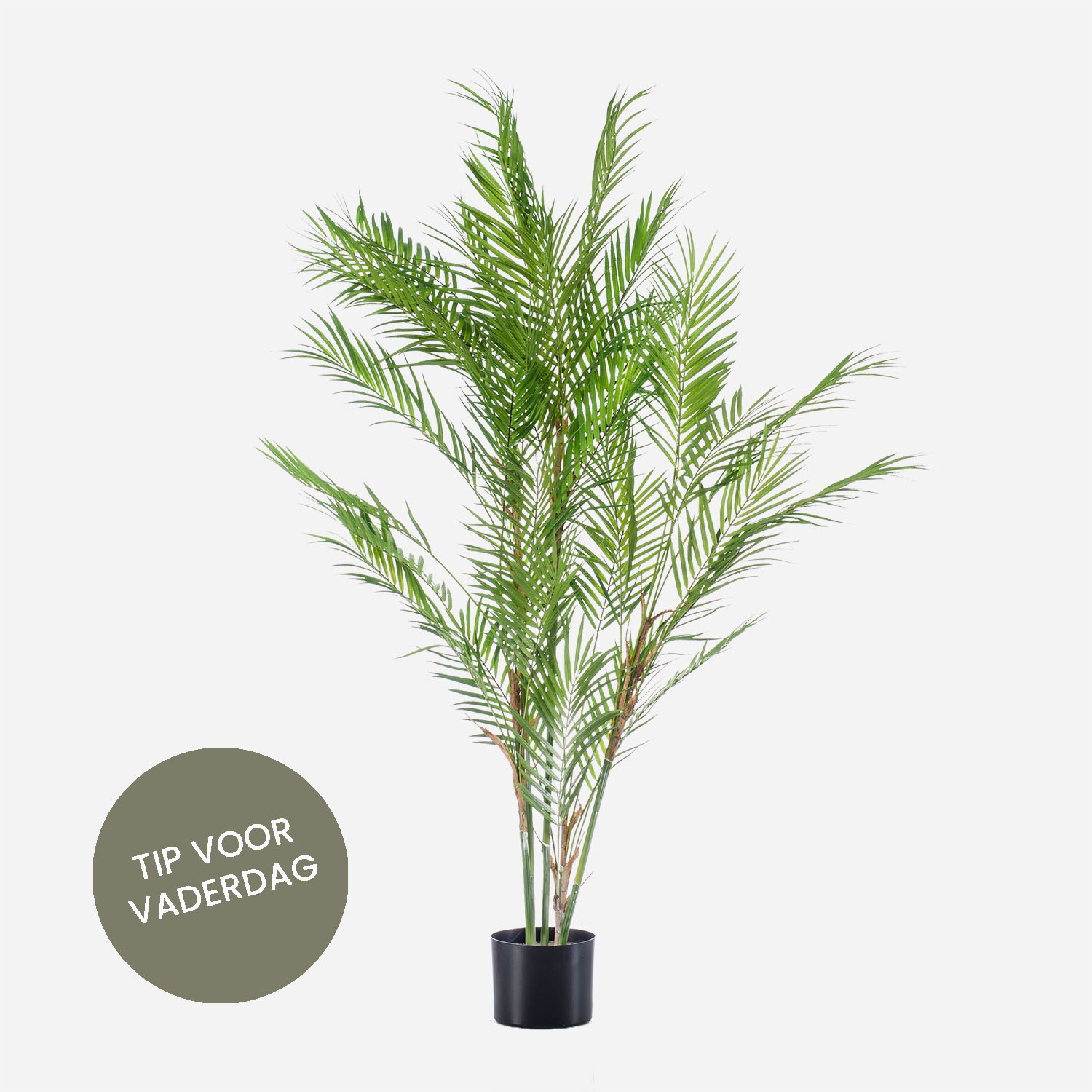 FloraWorks Kunstplant Chamaedorea Palm (120 cm)
