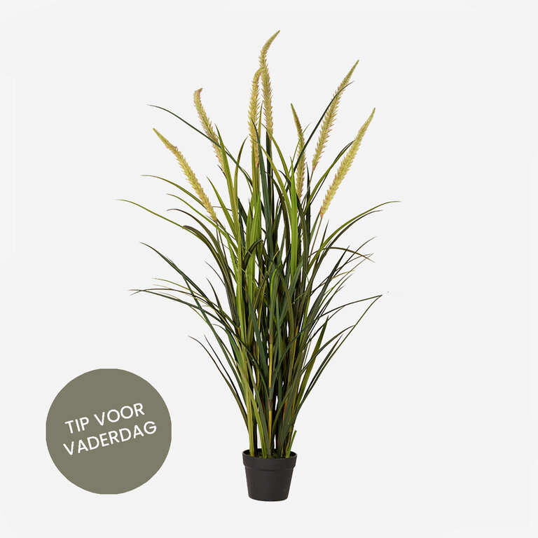 Kunstplant Foxtail gras is een kunstgras in binnenpot met een natuurgetrouwe uitstraling en een hoogte van 130 cm.