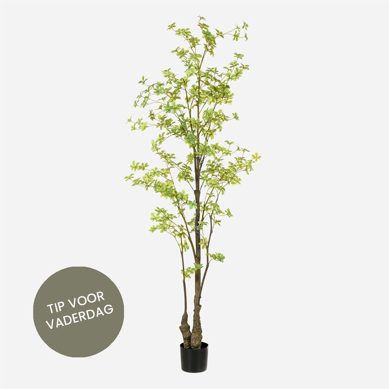 Kunstplant Tropaeolum met groene bladeren is een grote kunstplant in binnenpot met een natuurgetrouwe uitstraling en een hoogte van 210 cm.
