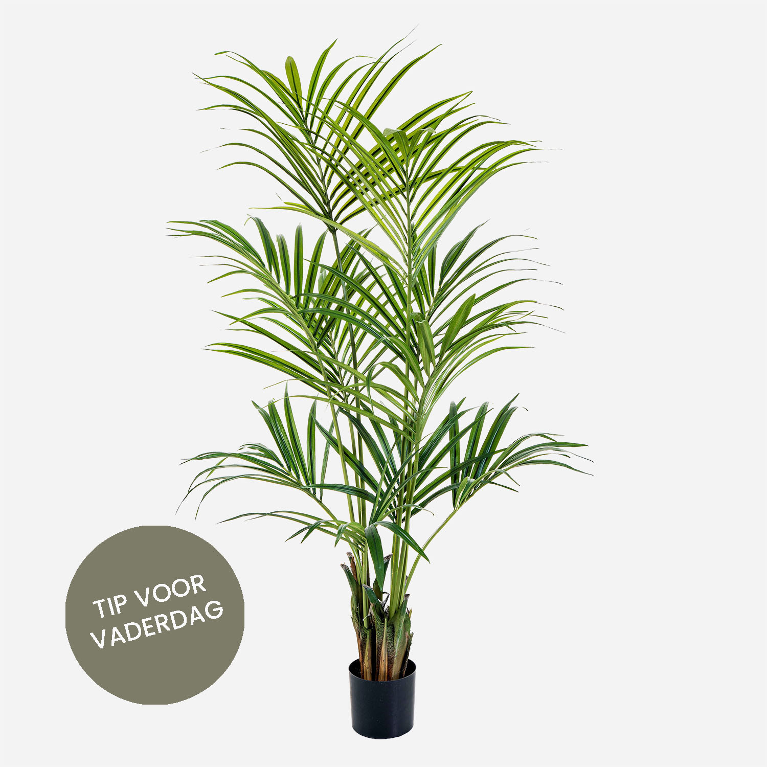 FloraWorks Kunstplant Kentia Palm (172 cm)