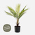 FloraWorks Kunstplant Chamaedorea Palm (50 cm)