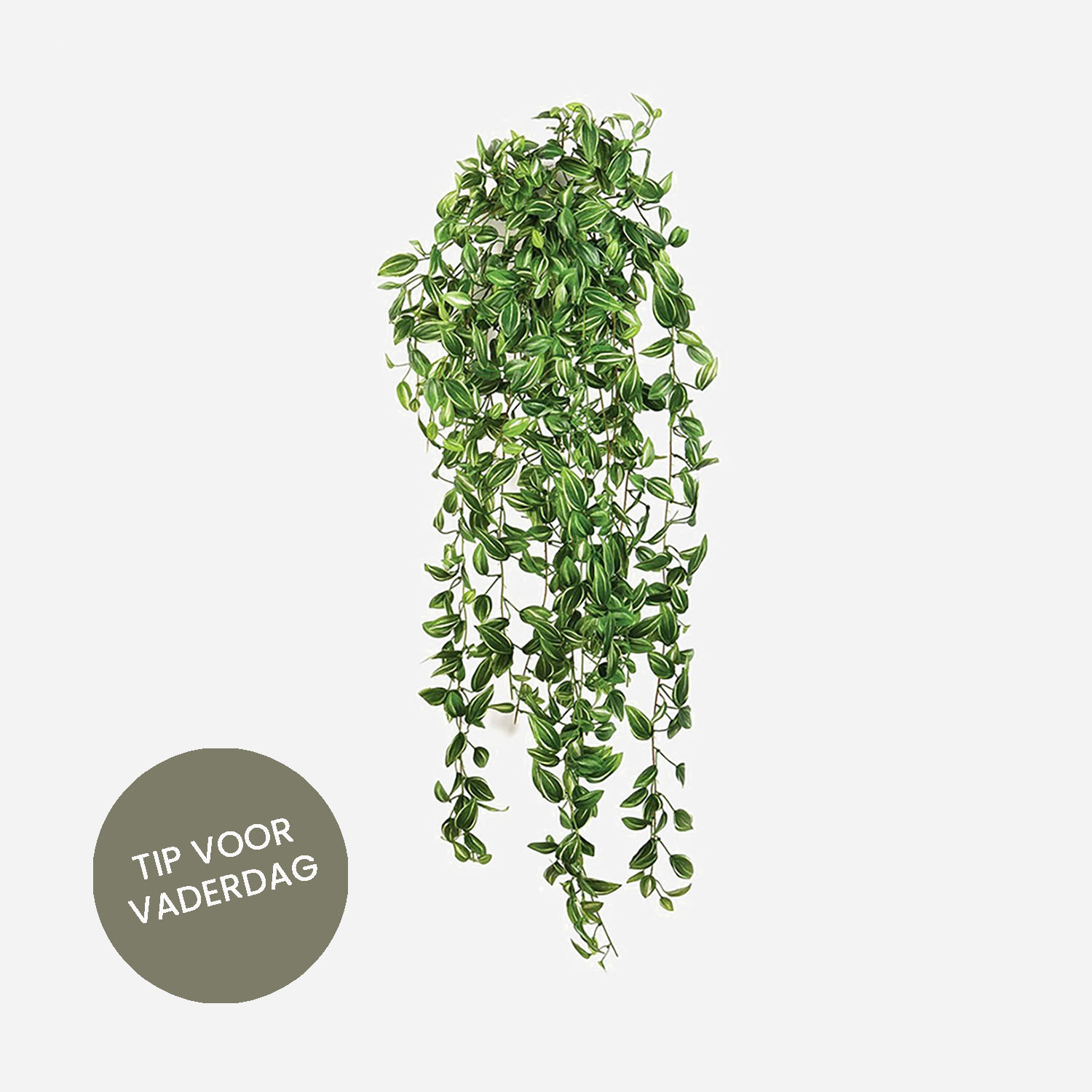 FloraWorks Kunstplant hangend Tradescantia (95 cm)