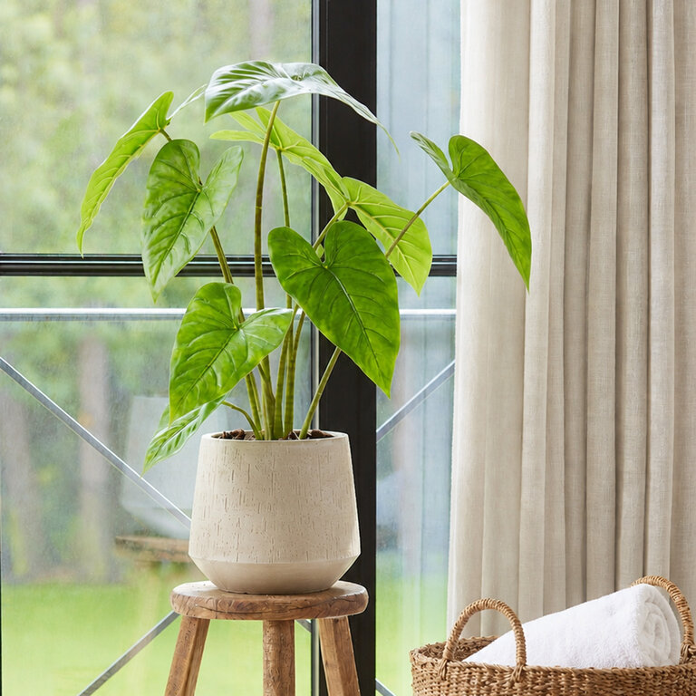 Kunstplant Alocasia Zebrina met groene bladeren is een middelgrote kunstplant in binnenpot met een natuurgetrouwe uitstraling en een hoogte van 75 cm.