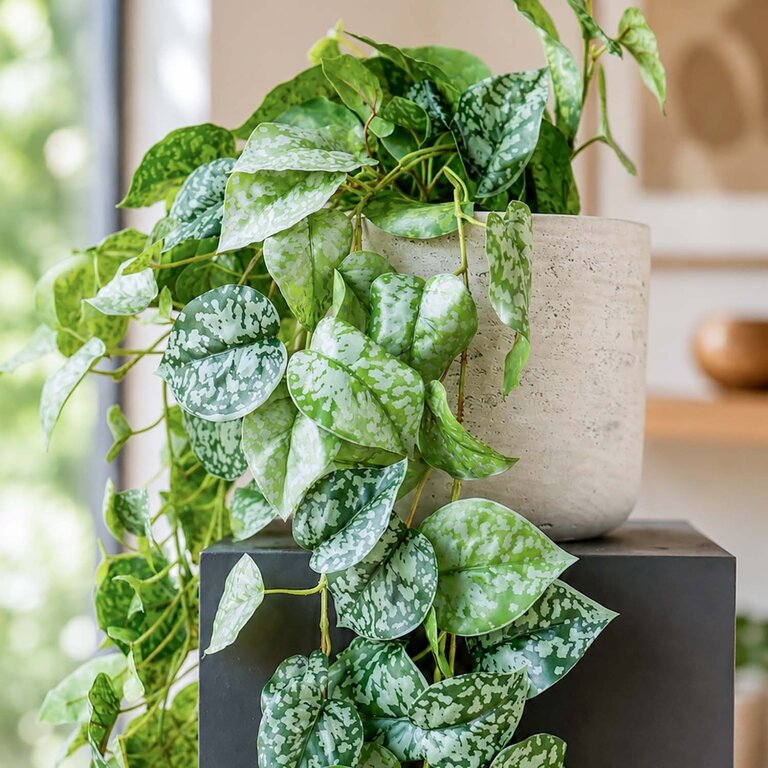 Kunstplant hangend Scindapsus met groene bladeren is een hangplant met een natuurgetrouwe uitstraling en een lengte van 90 cm.
