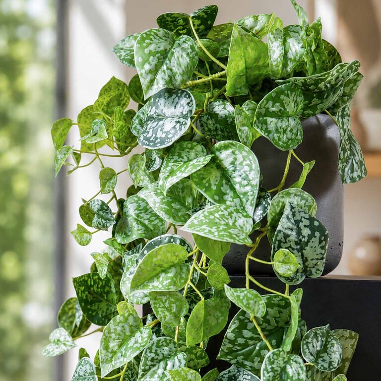 Kunstplant hangend Scindapsus met groene bladeren is een hangplant met een natuurgetrouwe uitstraling en een lengte van 120 cm.