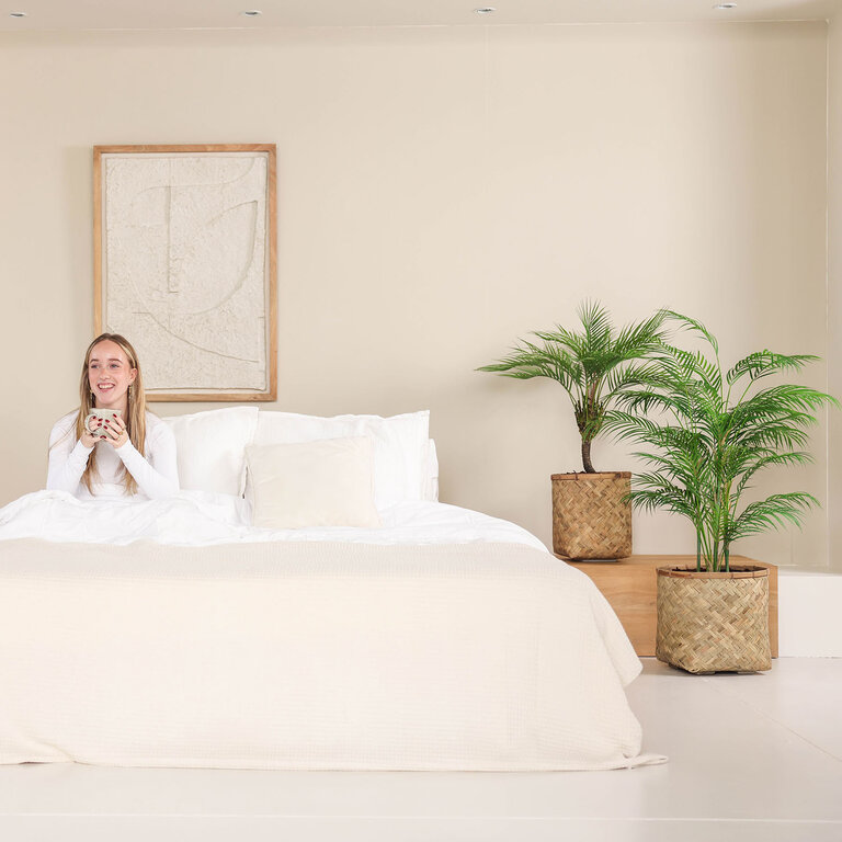 Kunstplant Chamaedorea Palm met groene bladeren is een middelgrote kunstplant in binnenpot met een natuurgetrouwe uitstraling en een hoogte van 50 cm.