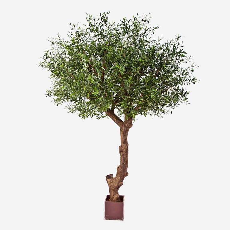 Kunstplant Olijfboom met groene bladeren en olijven is een grote kunstplant in binnenpot met een natuurgetrouwe uitstraling en een hoogte van 270 cm.