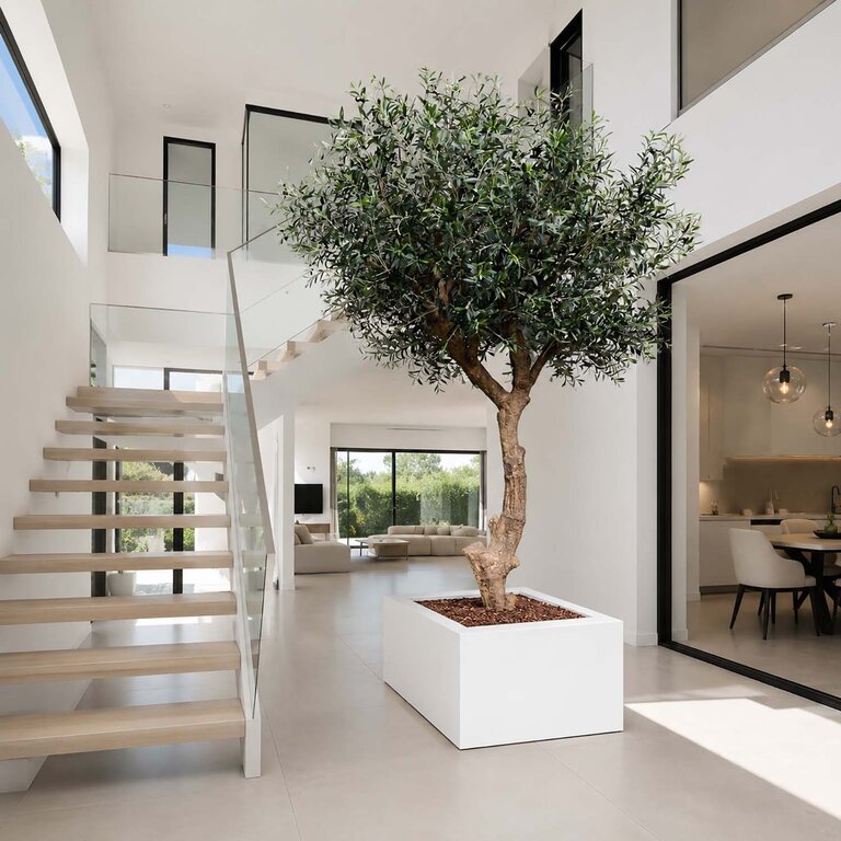 Kunstplant Olijfboom met groene bladeren en olijven is een grote kunstplant in binnenpot met een natuurgetrouwe uitstraling en een hoogte van 270 cm.