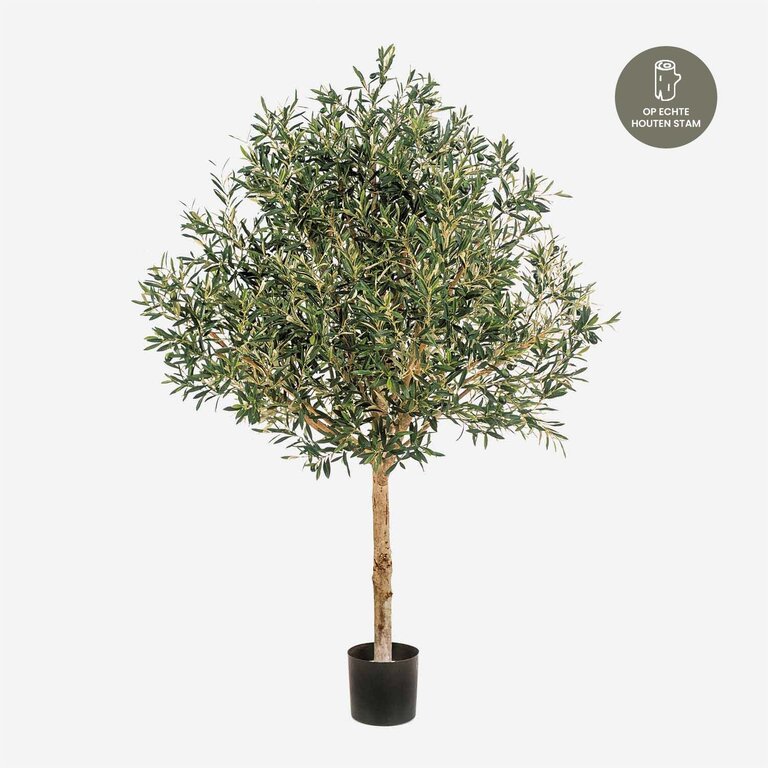 Kunstplant Olijfboom met groene bladeren en olijven is een grote kunstplant in binnenpot met een natuurgetrouwe uitstraling en een hoogte van 180 cm.