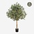 FloraWorks Kunstplant Olijfboom (180 cm)