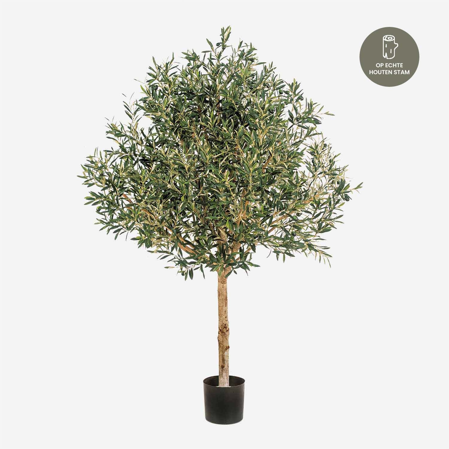 FloraWorks Kunstplant Olijfboom (180 cm)