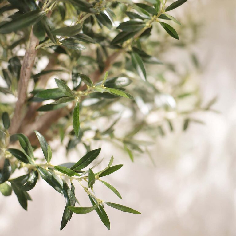 Kunstplant Olijfboom met groene bladeren en olijven is een grote kunstplant in binnenpot met een natuurgetrouwe uitstraling en een hoogte van 180 cm.