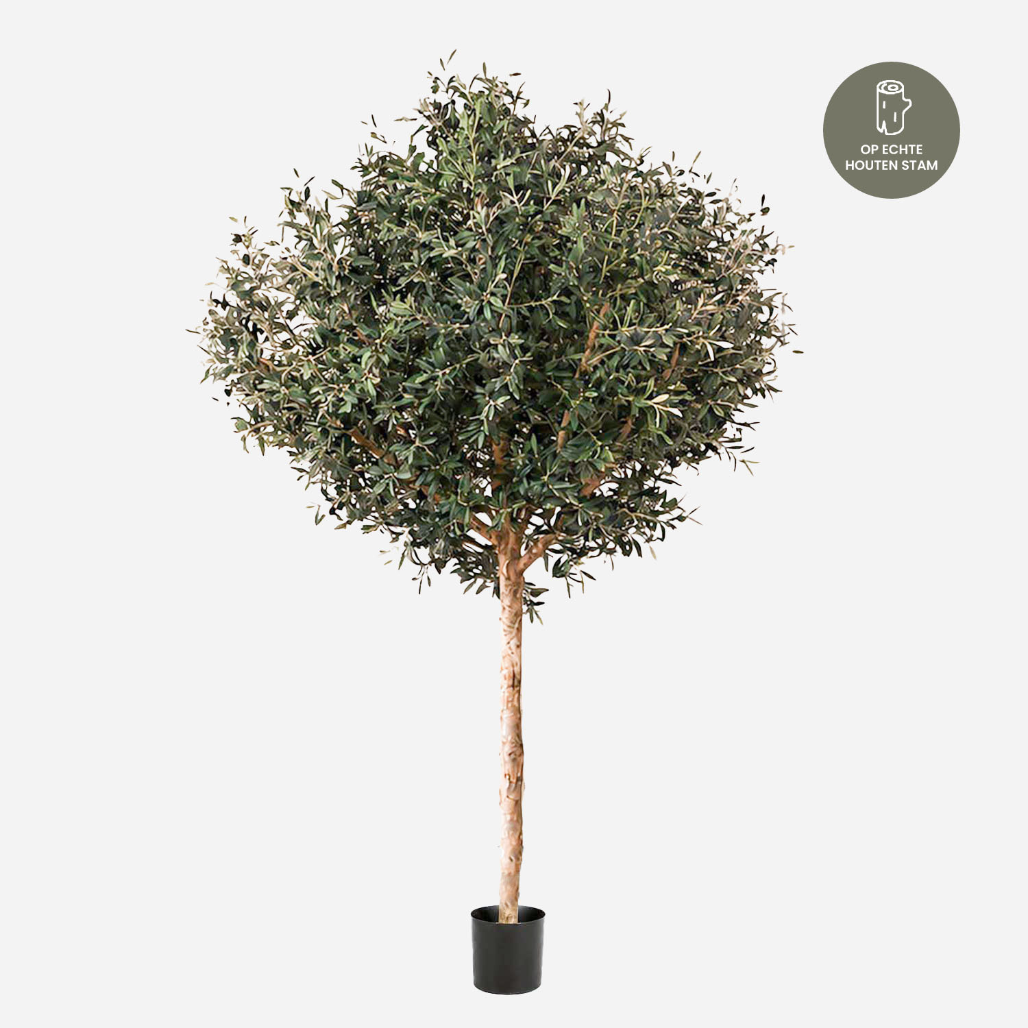FloraWorks Kunstplant Olijfboom (210 cm)