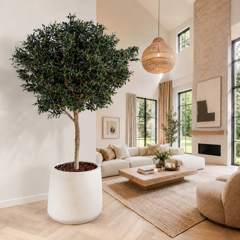 Kunstplant Olijfboom met groene bladeren en olijven is een grote kunstplant in binnenpot met een natuurgetrouwe uitstraling en een hoogte van 210 cm.