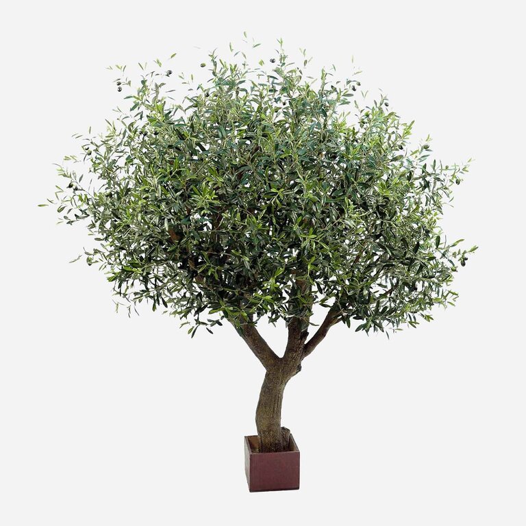 Kunstplant Olijfboom met groene bladeren en olijven is een grote kunstplant in binnenpot met een natuurgetrouwe uitstraling en een hoogte van 210 cm.