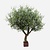 FloraWorks Kunstplant Olijfboom (210 cm)