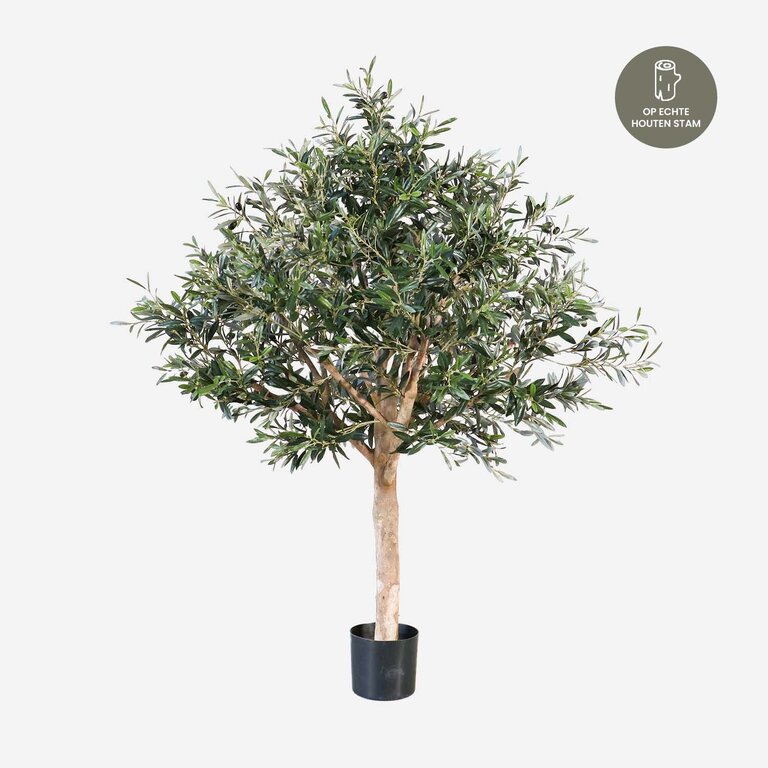 Kunstplant Olijfboom met groene bladeren en olijven is een grote kunstplant in binnenpot met een natuurgetrouwe uitstraling en een hoogte van 150 cm.