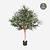 FloraWorks Kunstplant Olijfboom (150 cm)