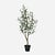 FloraWorks Kunstplant Olijfboom (90 cm)