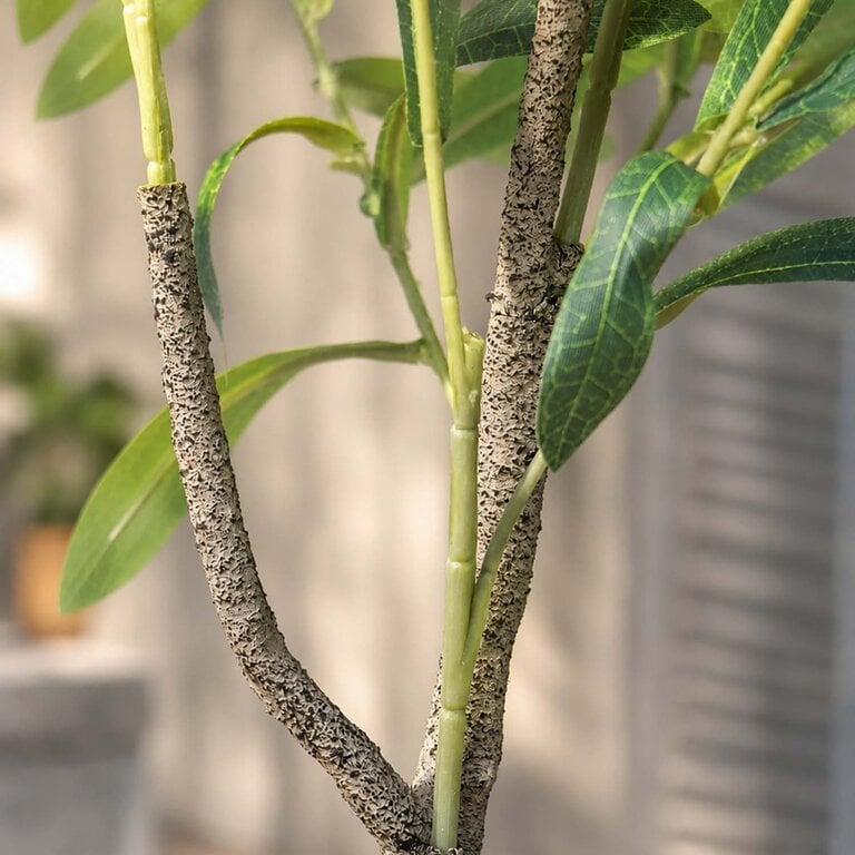 Kunstplant Olijfboom met groene bladeren en olijven is een middelgrote kunstplant in binnenpot met een natuurgetrouwe uitstraling en een hoogte van 90 cm.