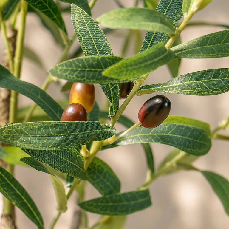 Kunstplant Olijfboom met groene bladeren en olijven is een middelgrote kunstplant in binnenpot met een natuurgetrouwe uitstraling en een hoogte van 90 cm.