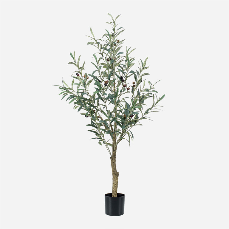 Kunstplant Olijfboom met groene bladeren en olijven is een middelgrote kunstplant in binnenpot met een natuurgetrouwe uitstraling en een hoogte van 115 cm.