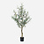 FloraWorks Kunstplant Olijfboom (115 cm)