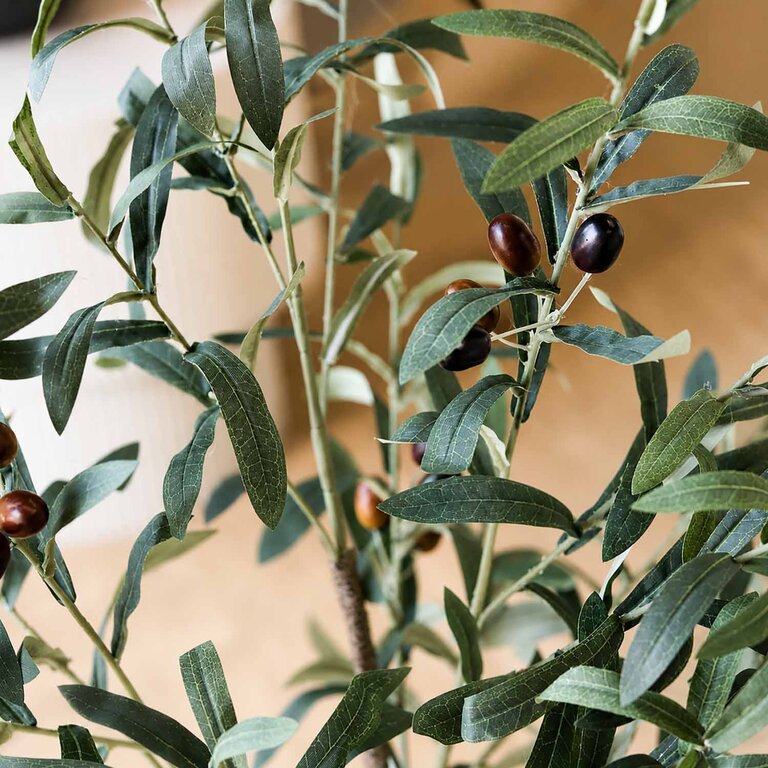 Kunstplant Olijfboom met groene bladeren en olijven is een middelgrote kunstplant in binnenpot met een natuurgetrouwe uitstraling en een hoogte van 115 cm.