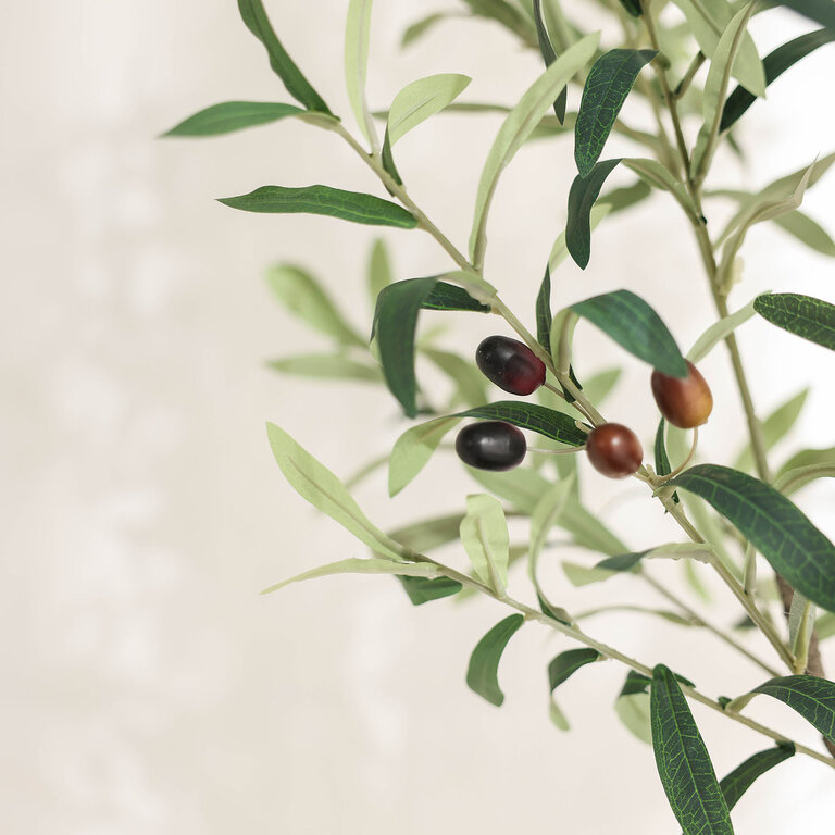 Kunstplant Olijfboom met groene bladeren en olijven is een middelgrote kunstplant in binnenpot met een natuurgetrouwe uitstraling en een hoogte van 115 cm.