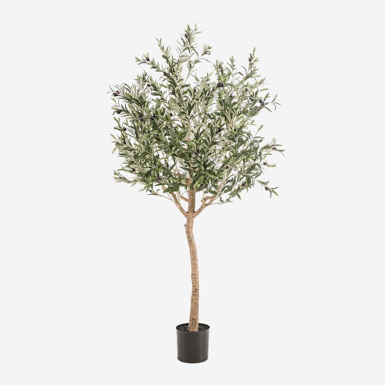 Kunstplant Olijfboom met groene bladeren en olijven is een grote kunstplant in binnenpot met een natuurgetrouwe uitstraling en een hoogte van 180 cm.
