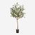FloraWorks Kunstplant Olijfboom (180 cm)