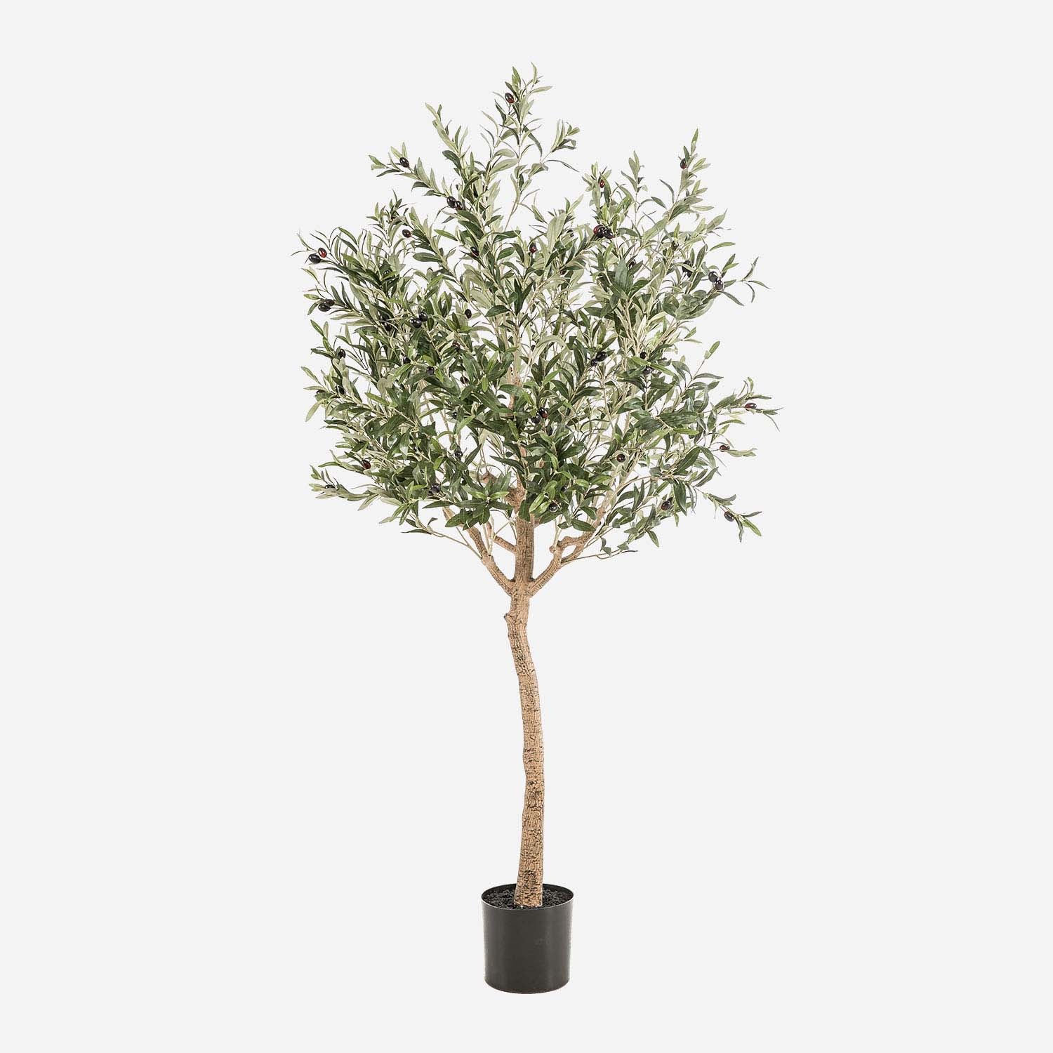 FloraWorks Kunstplant Olijfboom (180 cm)