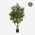 FloraWorks Kunstplant Olijfboom (120 cm)