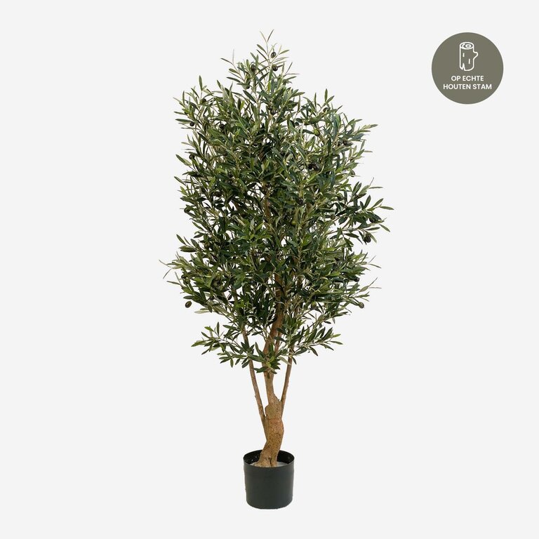 Kunstplant Olijfboom met groene bladeren en olijven is een grote kunstplant in binnenpot met een natuurgetrouwe uitstraling en een hoogte van 150 cm.