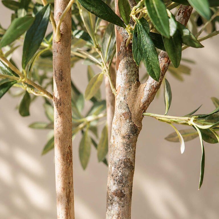 Kunstplant Olijfboom met groene bladeren en olijven is een grote kunstplant in binnenpot met een natuurgetrouwe uitstraling en een hoogte van 150 cm.