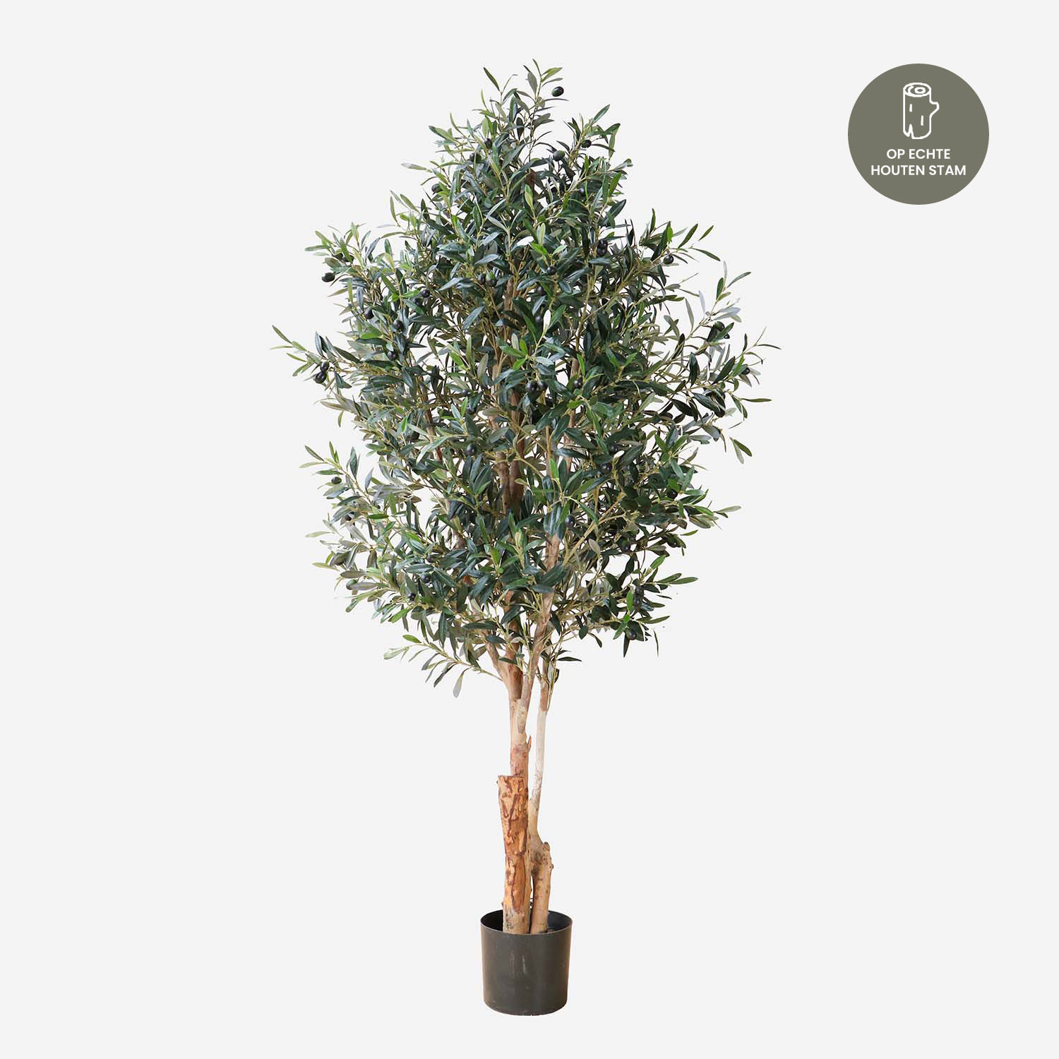 FloraWorks Kunstplant Olijfboom (180 cm)