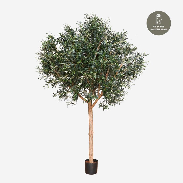 Kunstplant Olijfboom met groene bladeren en olijven is een grote kunstplant in binnenpot met een natuurgetrouwe uitstraling en een hoogte van 210 cm.