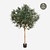 FloraWorks Kunstplant Olijfboom (210 cm)