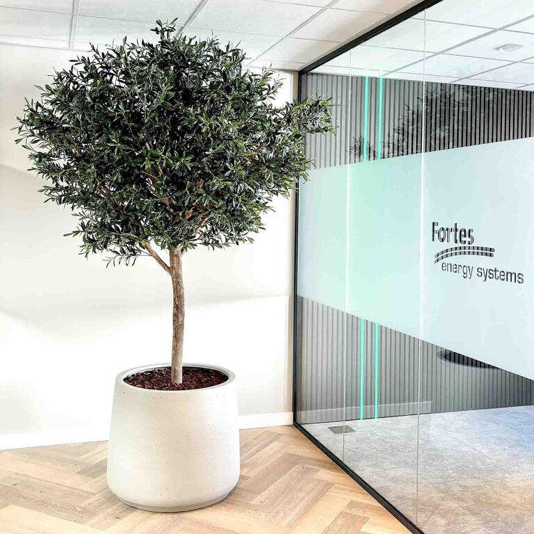 Kunstplant Olijfboom met groene bladeren en olijven is een grote kunstplant in binnenpot met een natuurgetrouwe uitstraling en een hoogte van 210 cm.